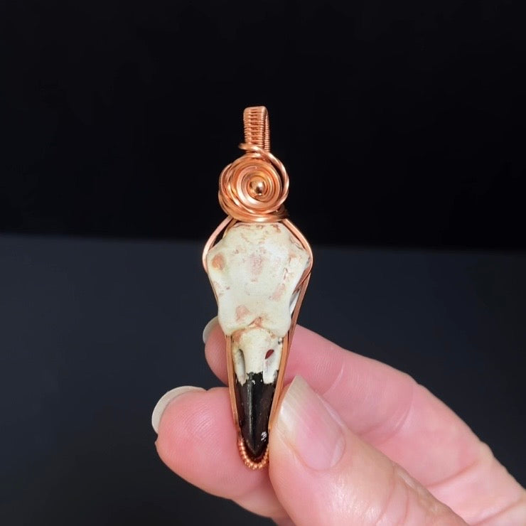 Resin Raven Skull & Spiral Copper Wire Wrapped Pendant