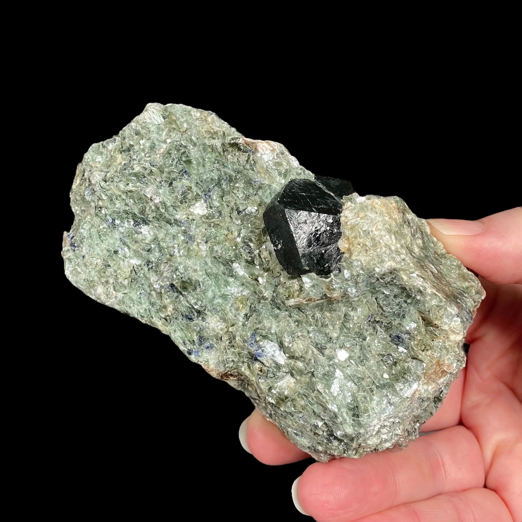 Dark Blue Dravite, Uvite in a Beautiful Green Mica-Rich Matrix with Sapphires