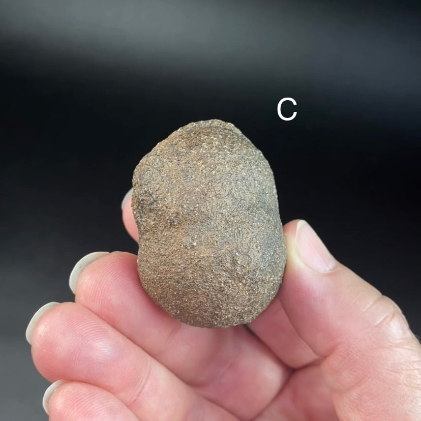 Shaman Stone aka Moqui Marble Conjoined Twin Stone