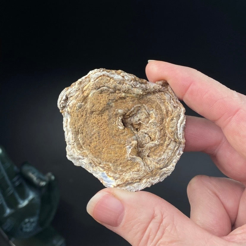 Druzy Chalcedony Concretion from Rio Grande do Sul, Brazil