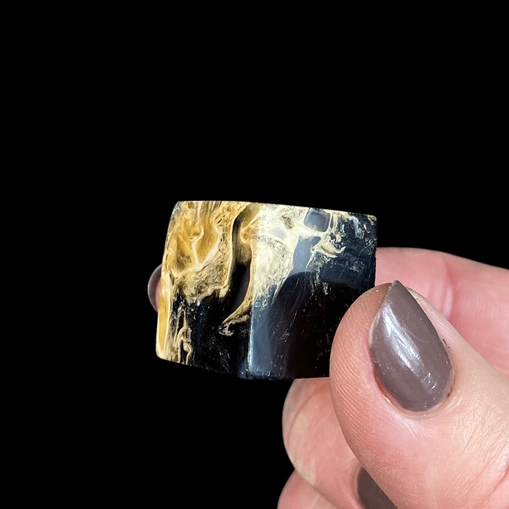 Fossilized Palm Root Polished Cube