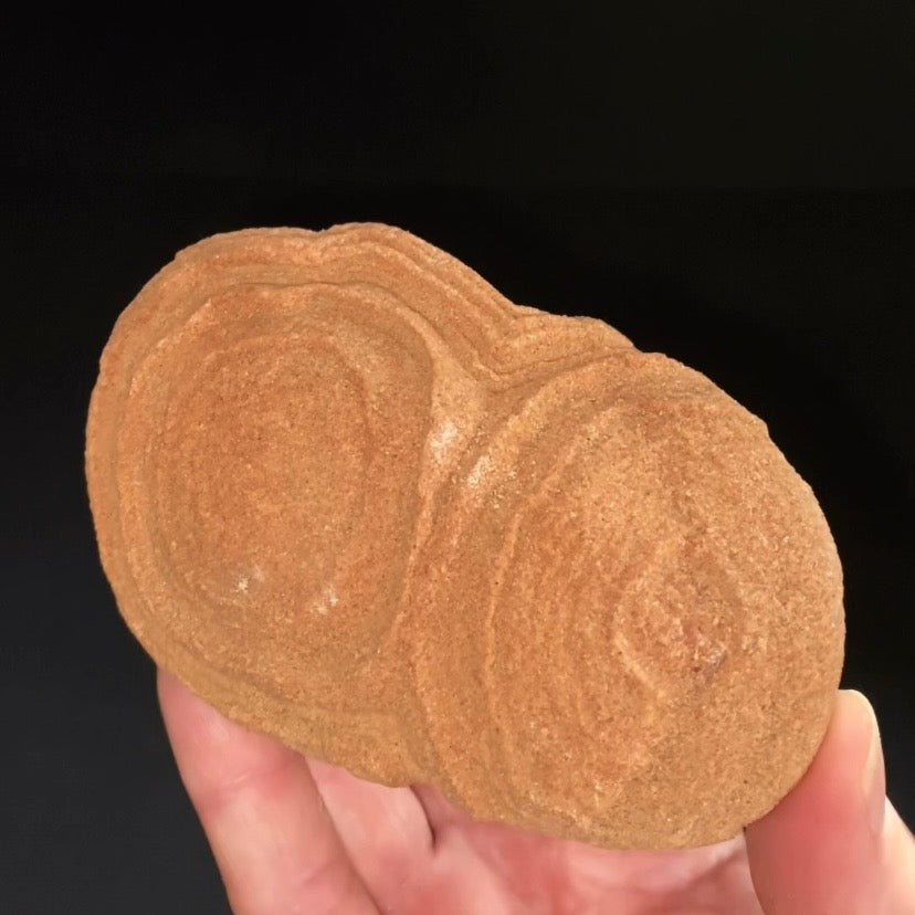 Desert Onion Pseudo Stromatalite from Morocco