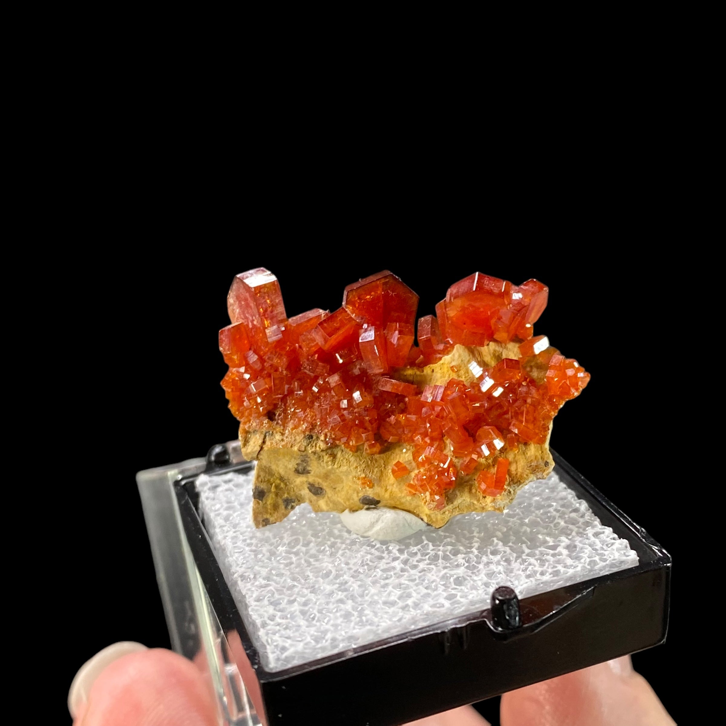 Gemmy Vanadinite Thumbnail Size Cluster in Perky Box