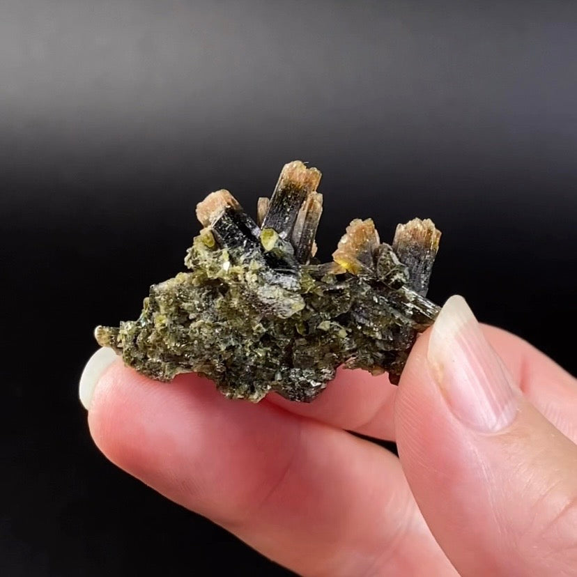 Etched Tip Bi-Color Epidote Crystal Cluster