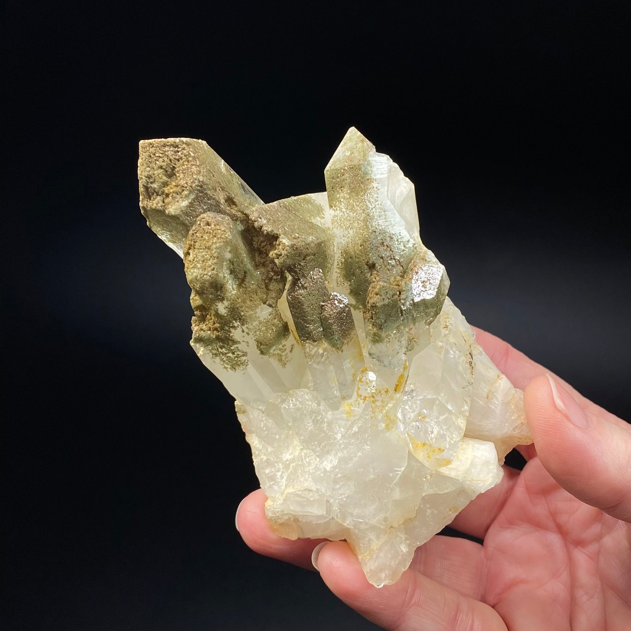 Chlorite Included Quartz Cluster - Garden Quartz