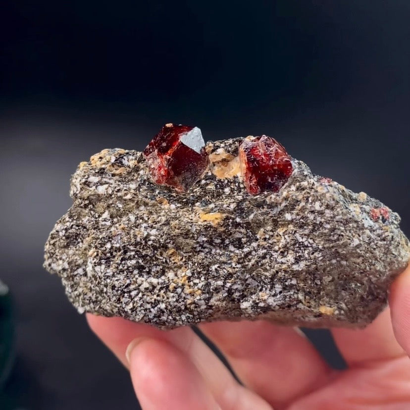 Zircon Crystals with Fluorescent Apatite Inclusions, Biotite-Calcite Schistose matrix, Astore Valley, Pakistan