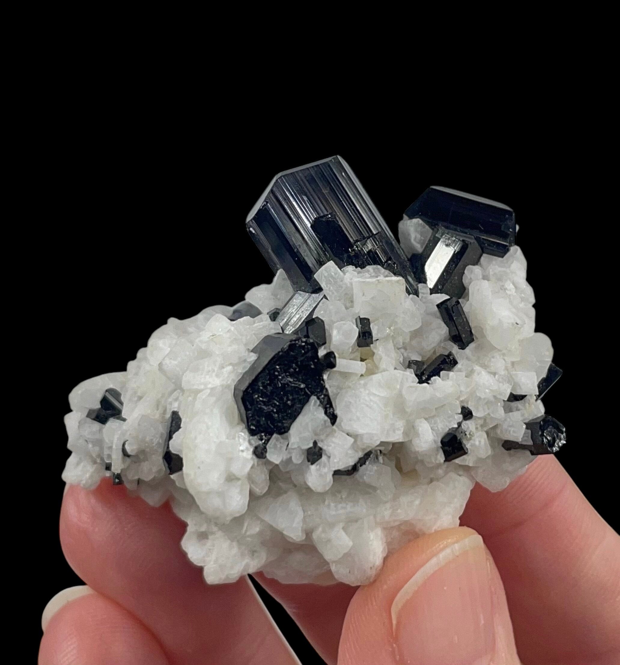 Black Tourmaline Schorl Crystals with One Aquamarine Crystal on Cleavelandite Feldspar