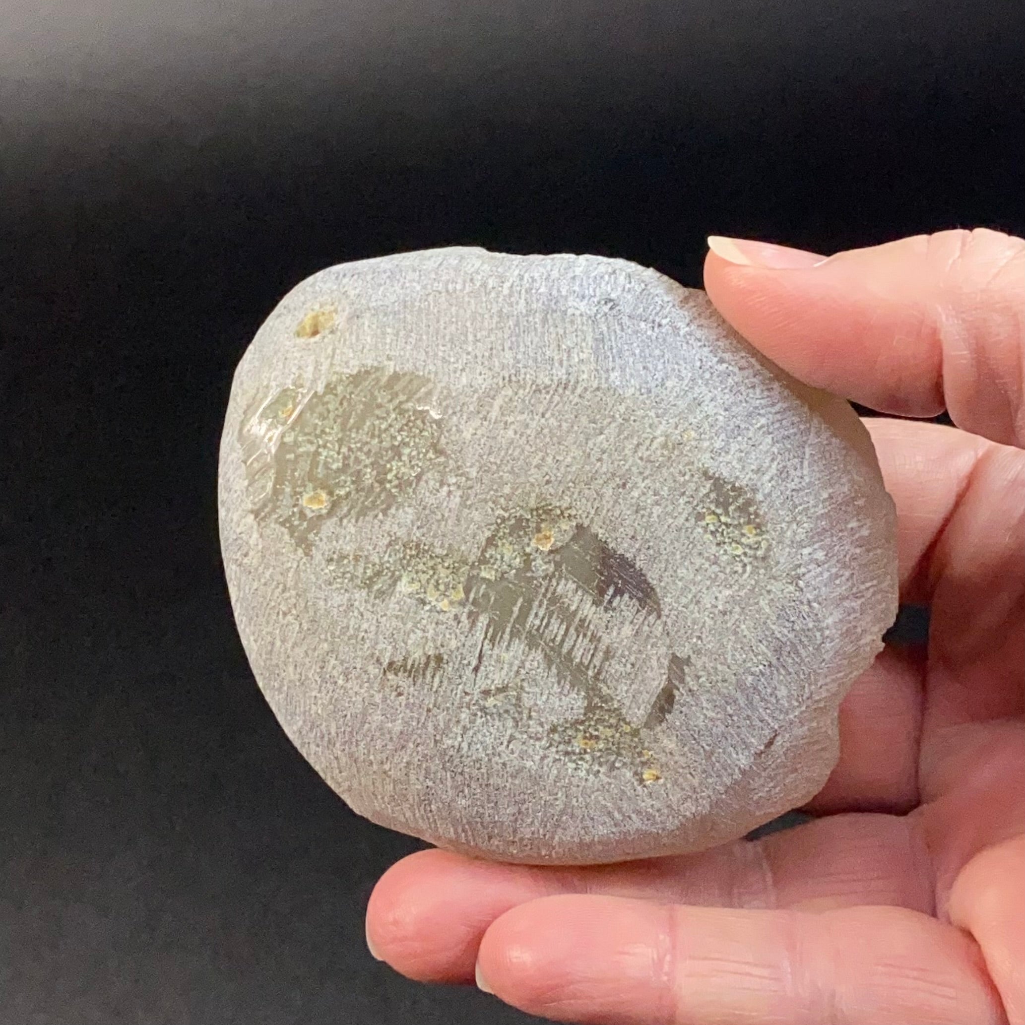 Botryoidal Chalcedony Plate – Glossy Luster and Multiple Domes – Maharashtra, India