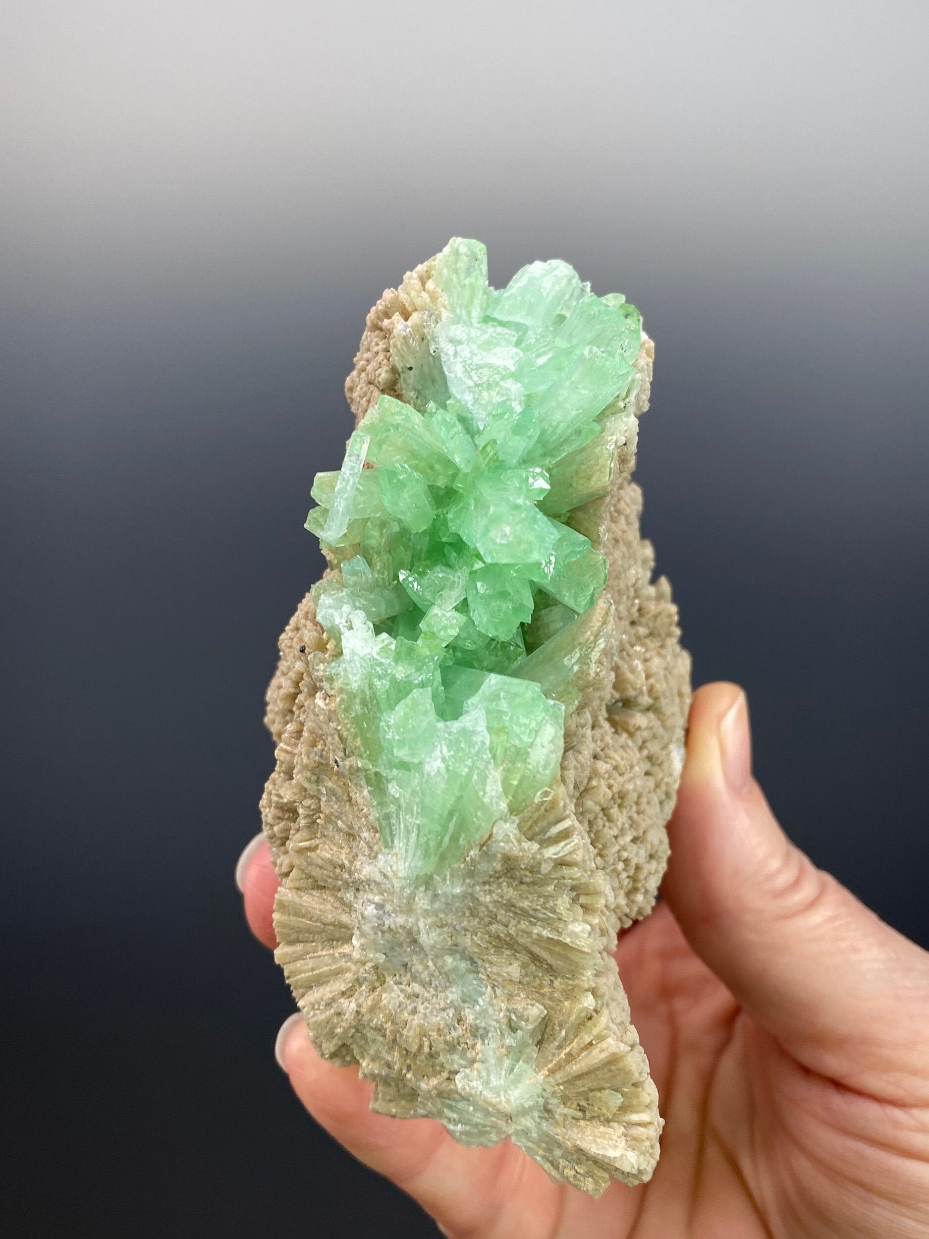 Green & Brown Radiating Aragonite Cluster - Green Areas Phosphorescent