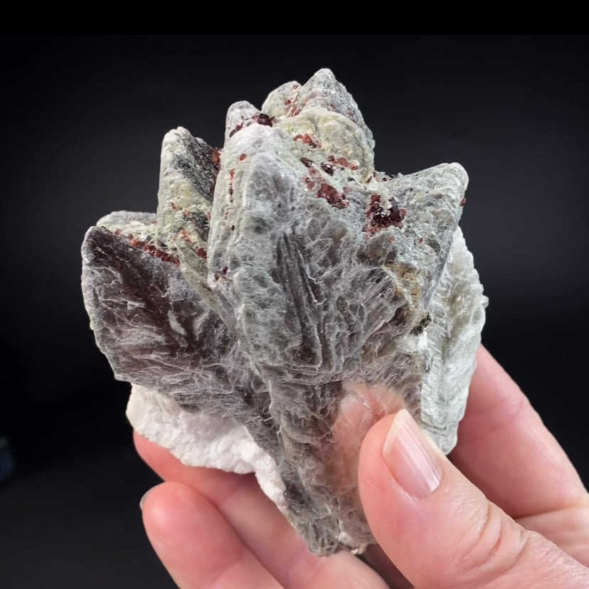 Spessartine Garnets on Muscovite Mica, Shigar Valley, Pakistan