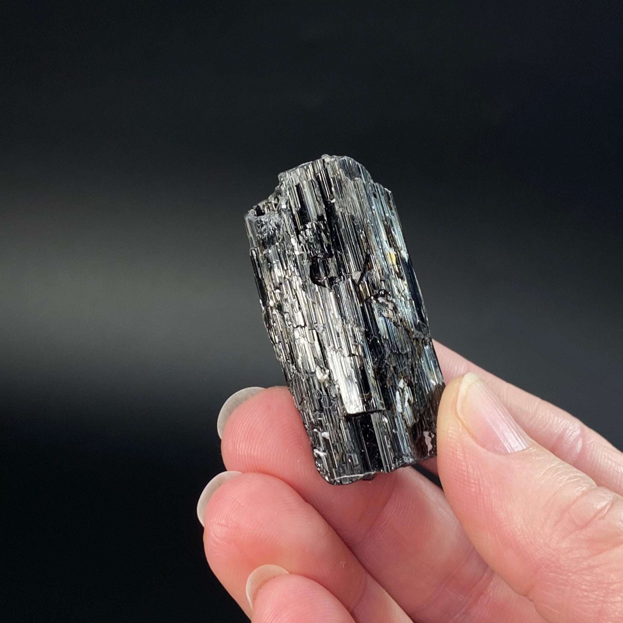 Etched Black Tourmaline Schorl with Mica