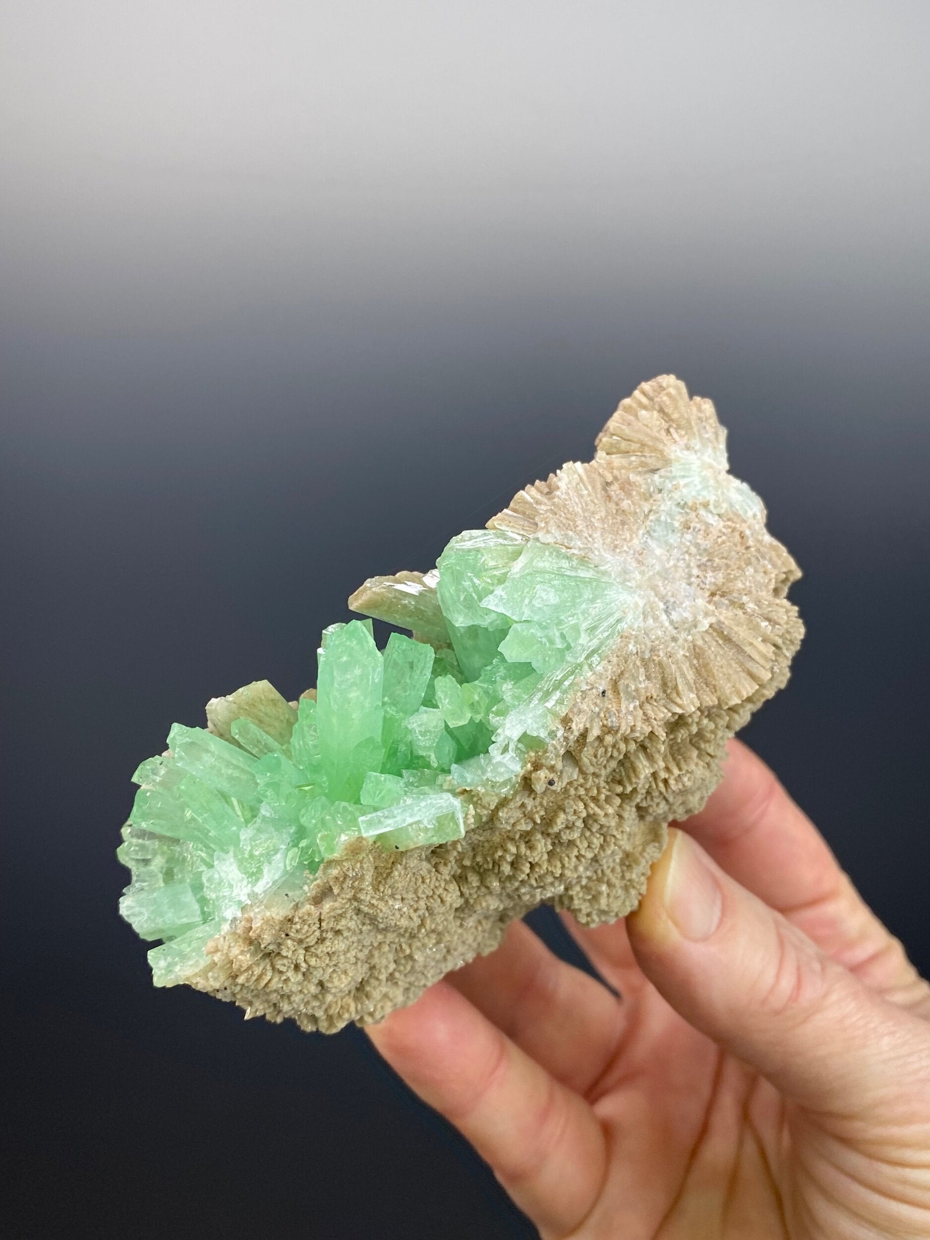 Green & Brown Radiating Aragonite Cluster - Green Areas Phosphorescent