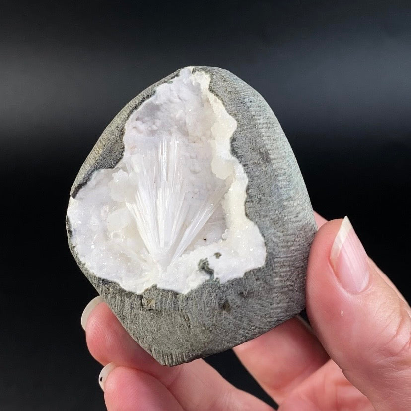 Scolecite with Apophyllite, Stilbite & Mordenite in Trimmed Basalt Geode Pocket