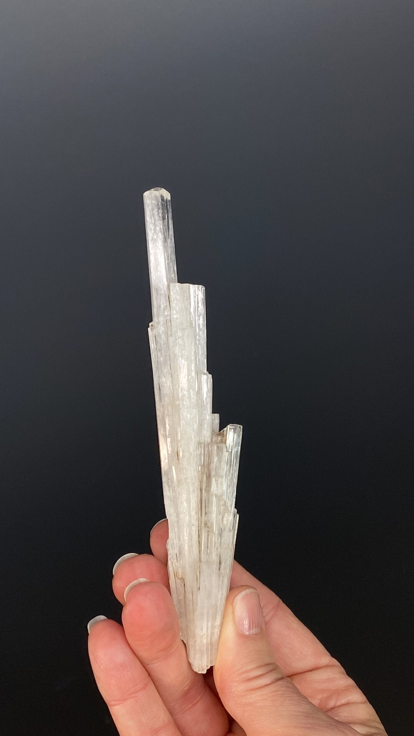 Clear Scolecite Crystal Cluster / Spray