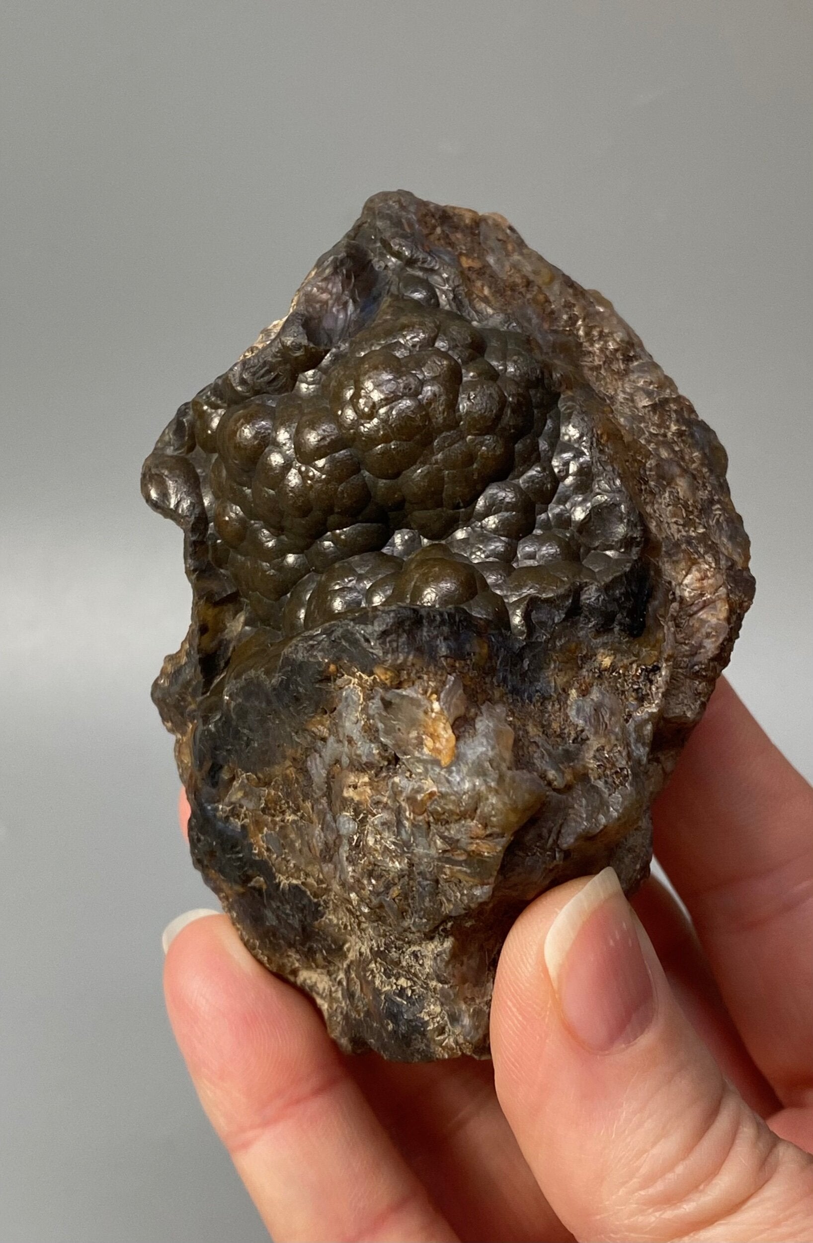 Botryoidal Agate with Hematite & Goethite