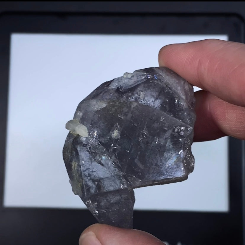 Lavender Gray Apatite Crystal with Actinolite Inclusions