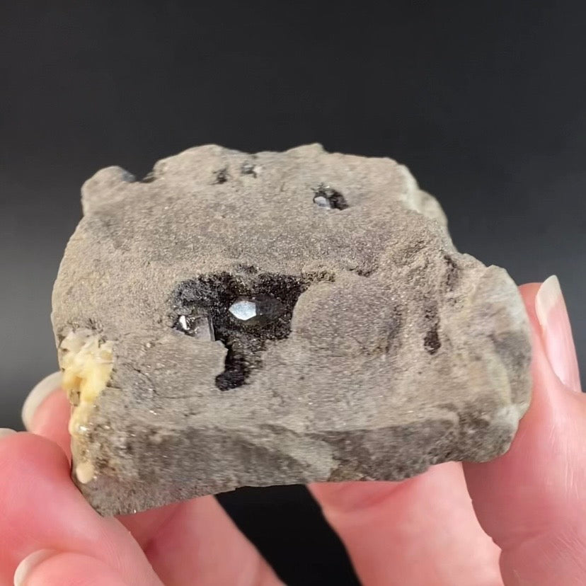 Four Herkimer Diamond Quartz Crystals in Matrix from Herkimer County, NY