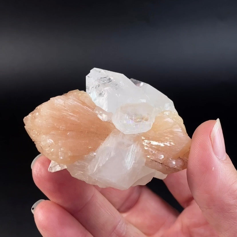 Peach Stilbite Bow Tie with Clear Apophyllite Crystals