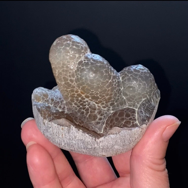 Textural Botryoidal Chalcedony with Vertical Columns – Maharashtra, India