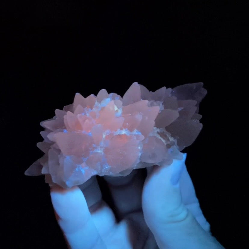 Scalenohedral DogTooth Calcite on Blue Purple Fluorite Matrix, UV Reactive, Fluorescent