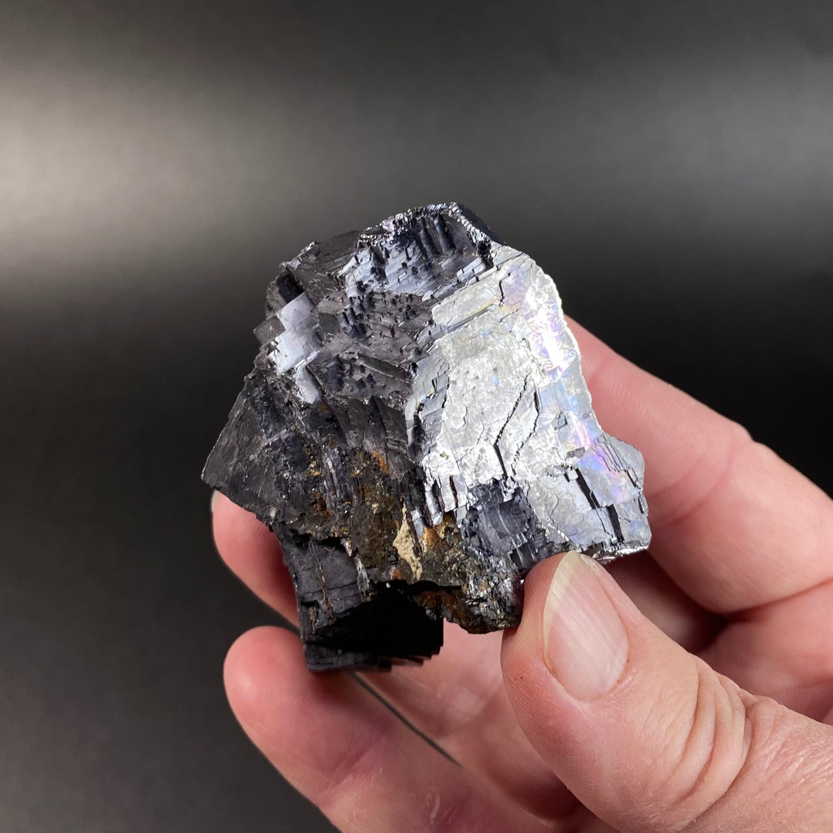 Skeletal Galena Cluster with Iridescence from Trepça Mine Complex, Kosovo