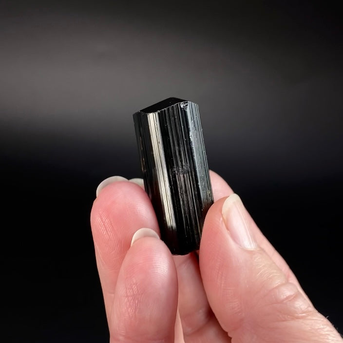 High Grade Black Tourmaline Schorl Crystal with Termination