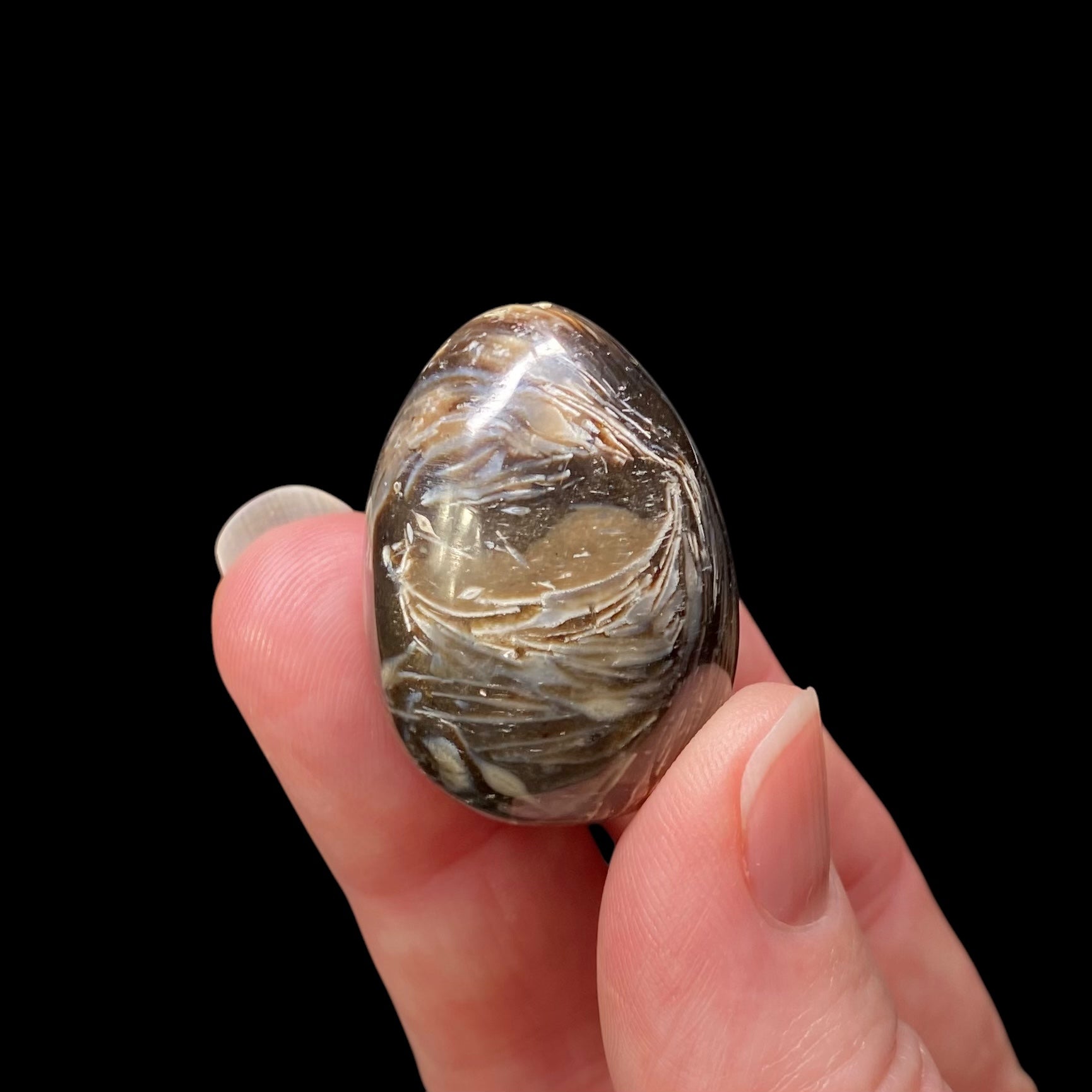 Feather Agate Polished Tumble Stone