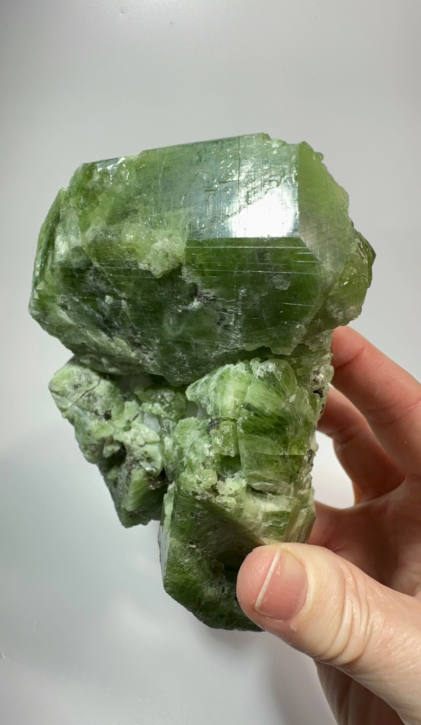 Diopside Crystal Cluster with Phlogopite & Calcite