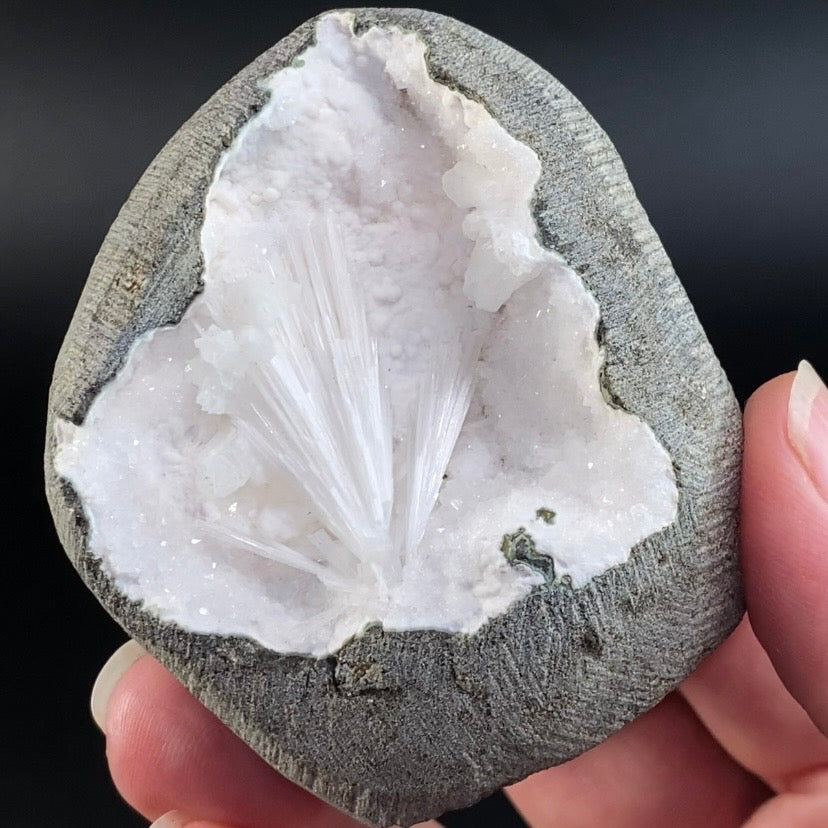 Scolecite with Apophyllite, Stilbite & Mordenite in Trimmed Basalt Geode Pocket