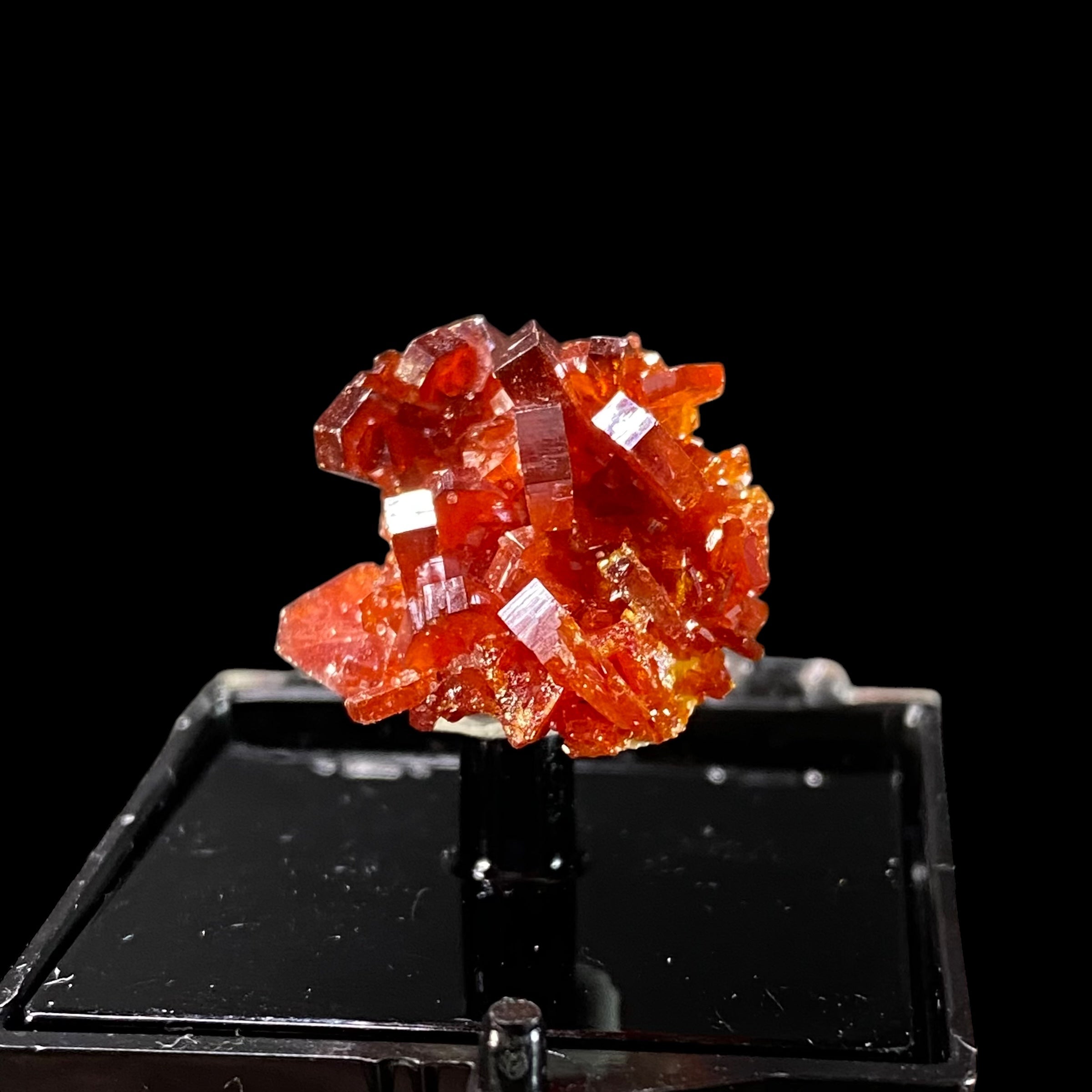 Gemmy Vanadinite Thumbnail Size Cluster in Perky Box