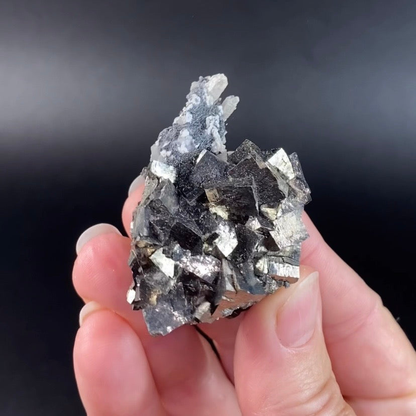 Arsenopyrite Cluster with Quartz & Sphalerite from Trepca Mine Complex, Kosovo