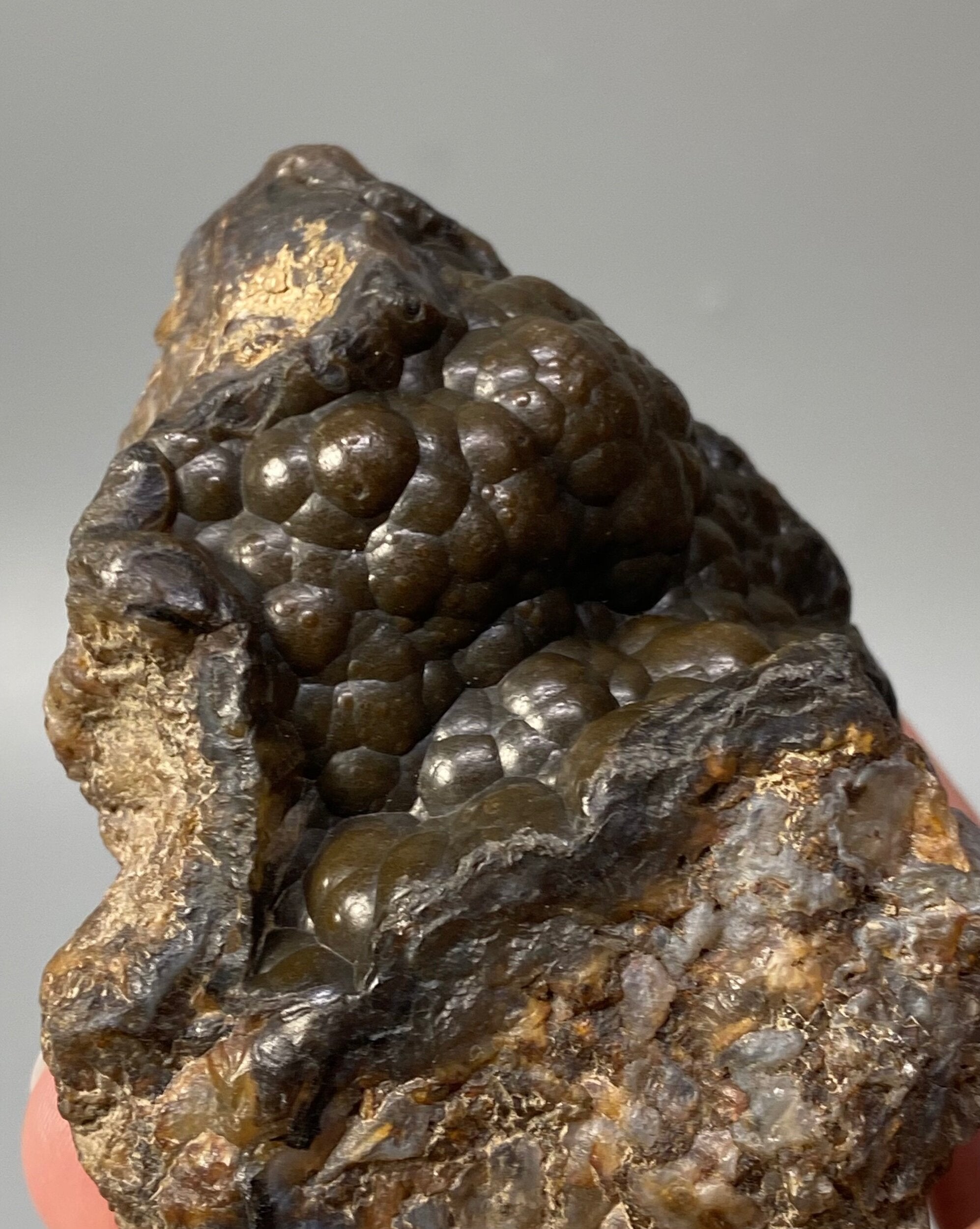 Botryoidal Agate with Hematite & Goethite