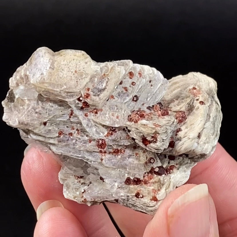 Spessartine Garnets on Muscovite Mica, Shigar Valley, Pakistan