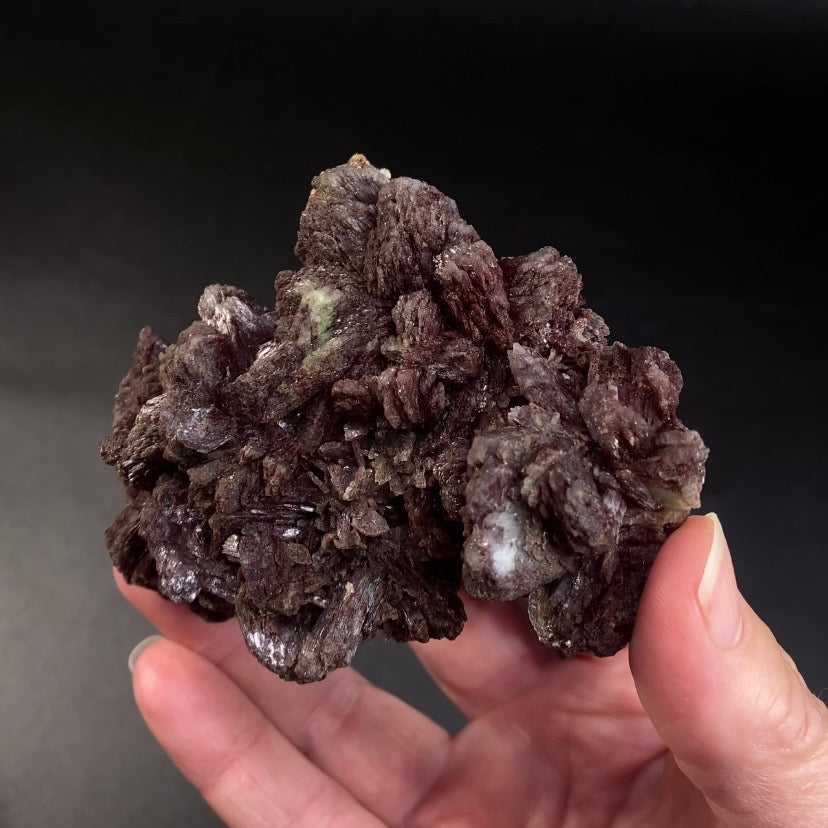 Dark Chocolate Red Marshy Heulandite Cluster from Maharashtra, India