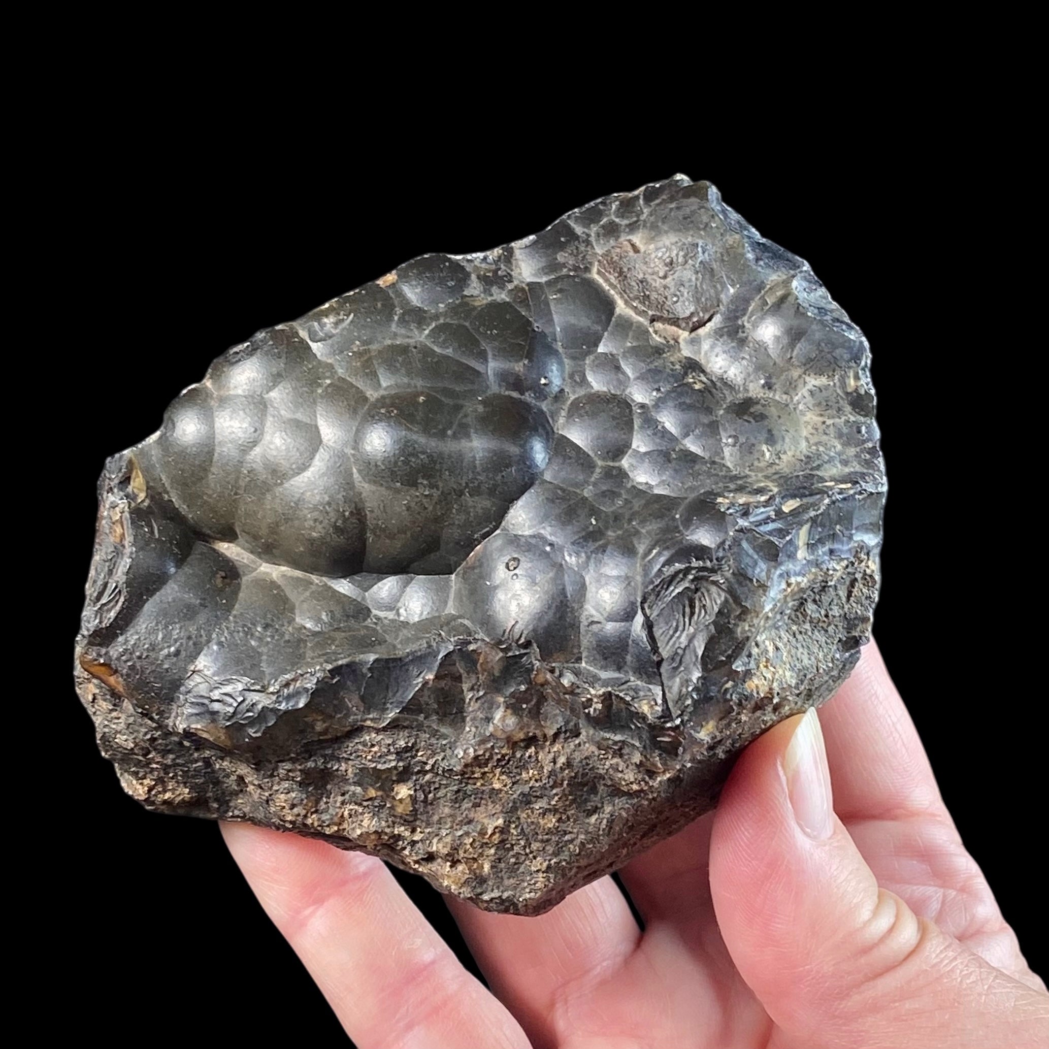 Botryoidal Agate with Hematite & Goethite