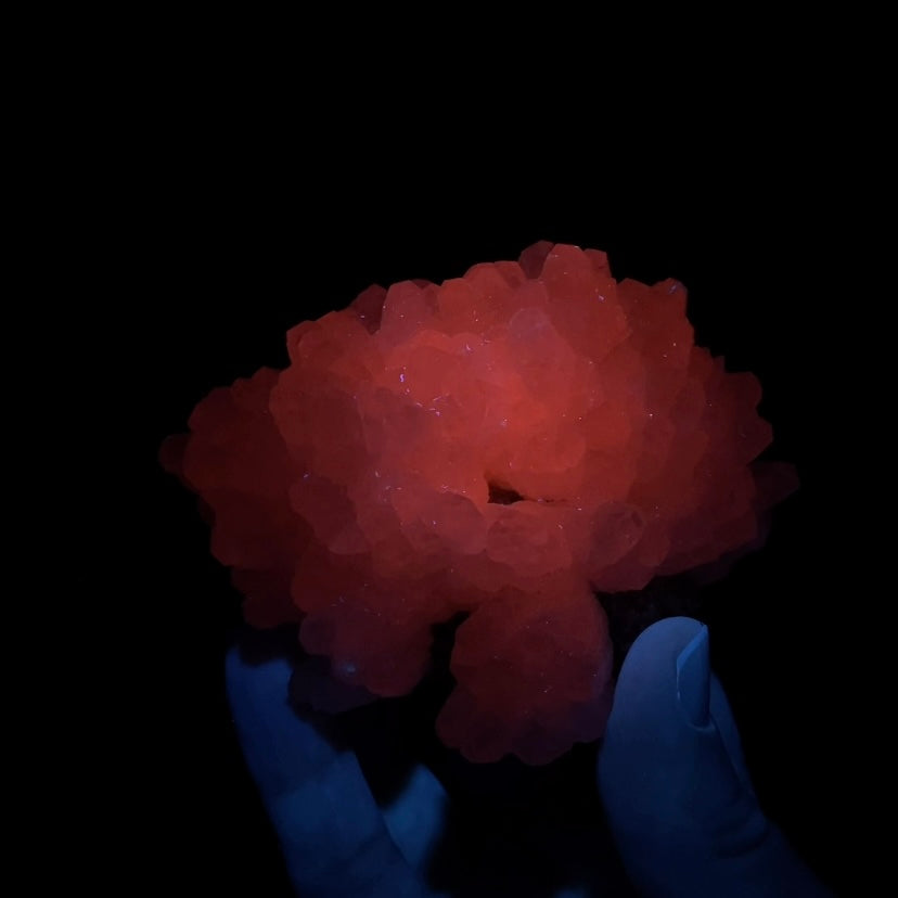 Fluorescent Calcite Cluster from Trepça Mines, Kosovo