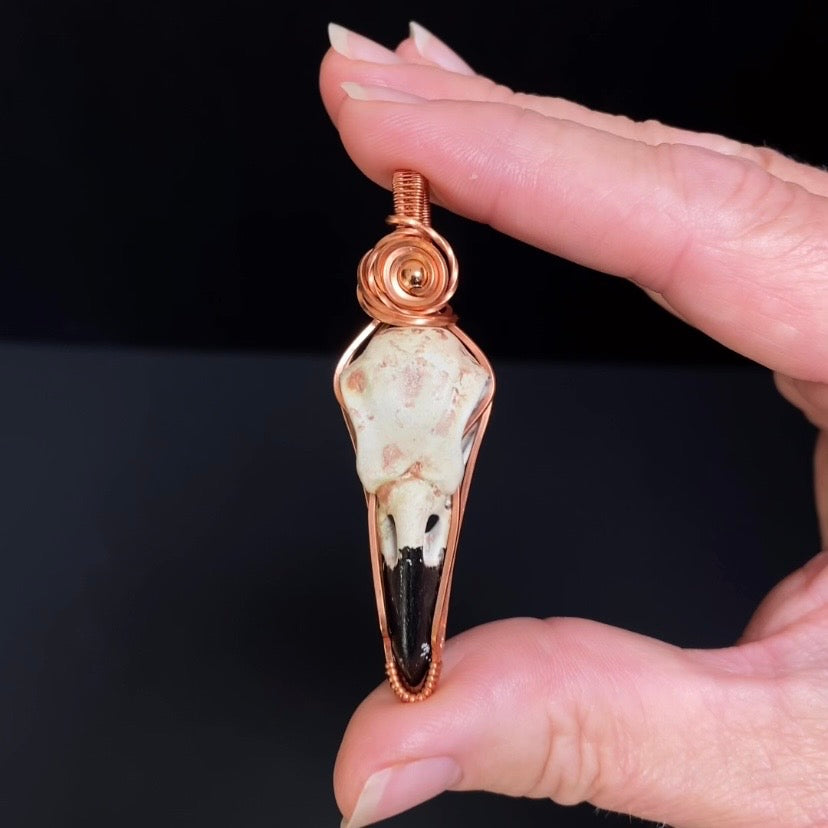 Resin Raven Skull & Spiral Copper Wire Wrapped Pendant