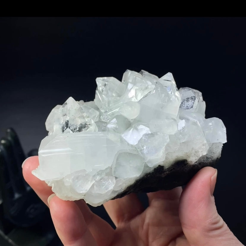 Lustrous Apophyllite Crystal Cluster from Jalgaon, Maharashtra, India