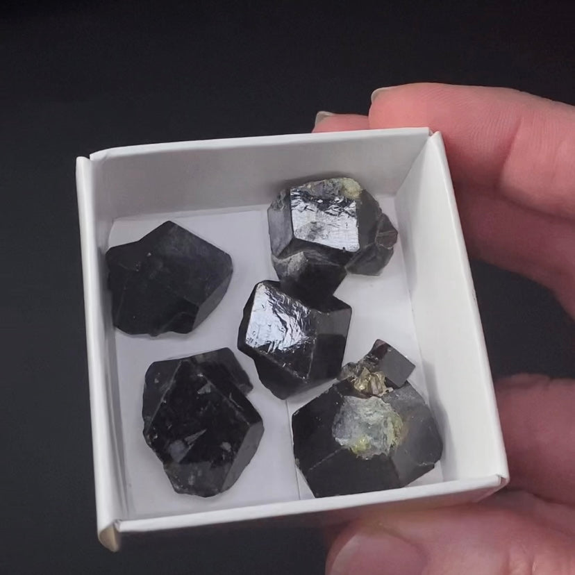 Andradite Garnet Crystal from Afghanistan - Two Sizes Available