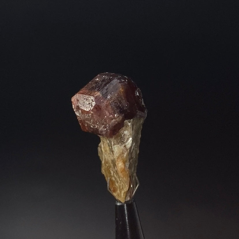 Garnet Crystal on Mica