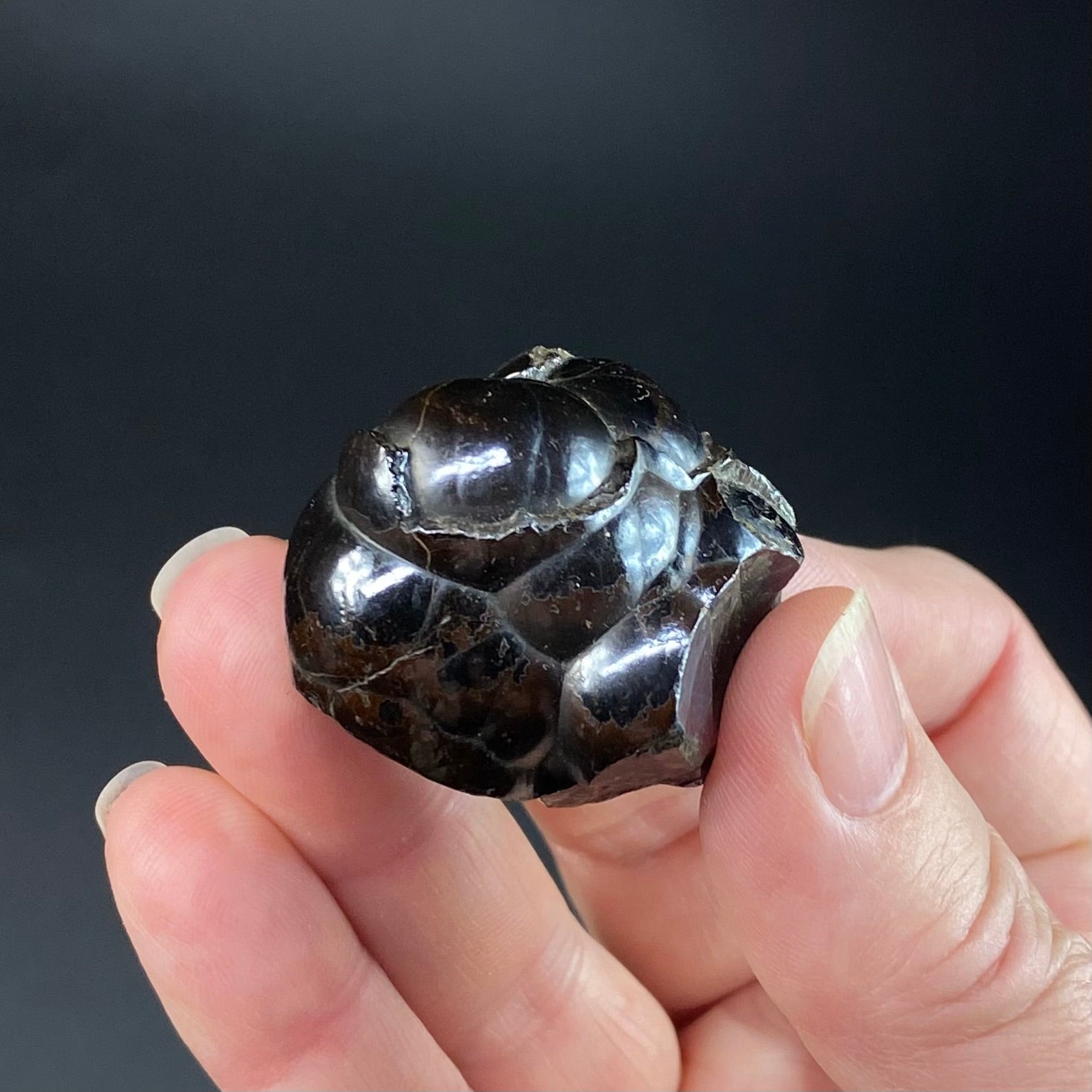 Botryoidal Hematite Specimen from Morocco