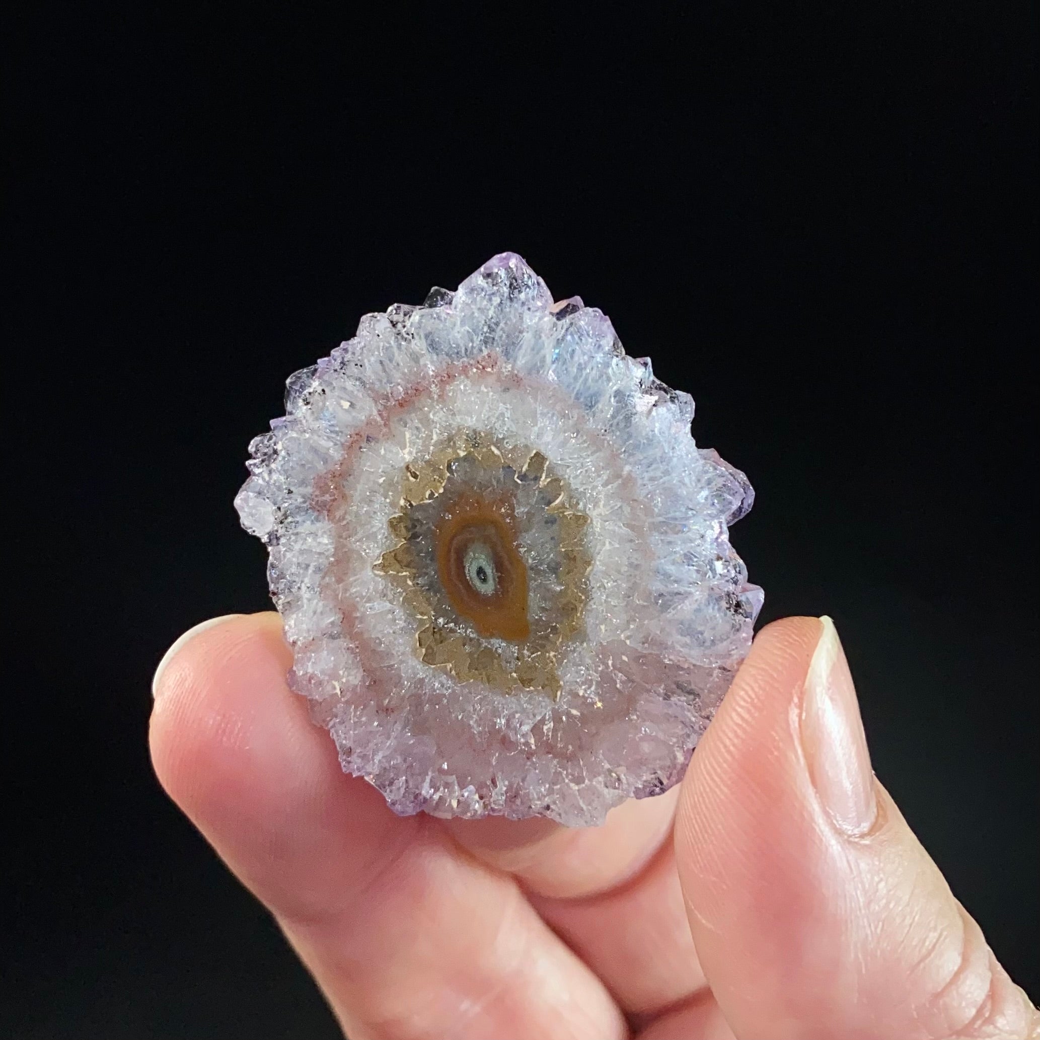 Amethyst Stalactite Slice from Artigas, Uruguay