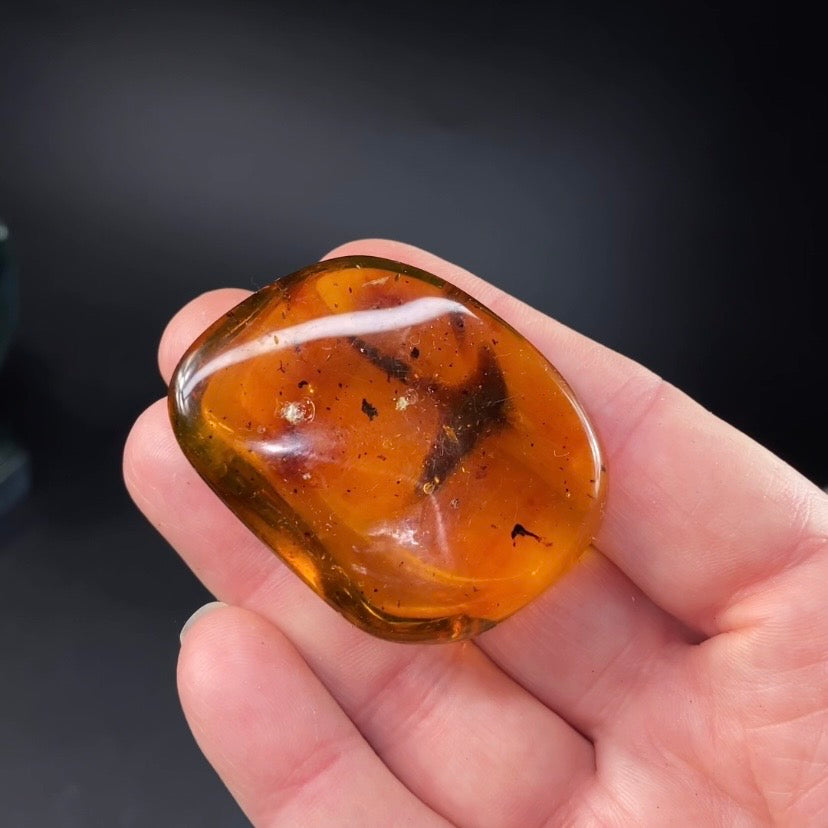 Polished Amber with Inclusions from Cimitarra, Colombia