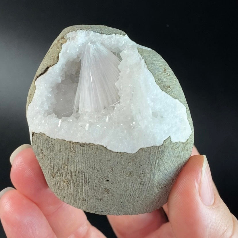 Scolecite with Apophyllite & Stilbite in Trimmed Basalt Geode Pocket