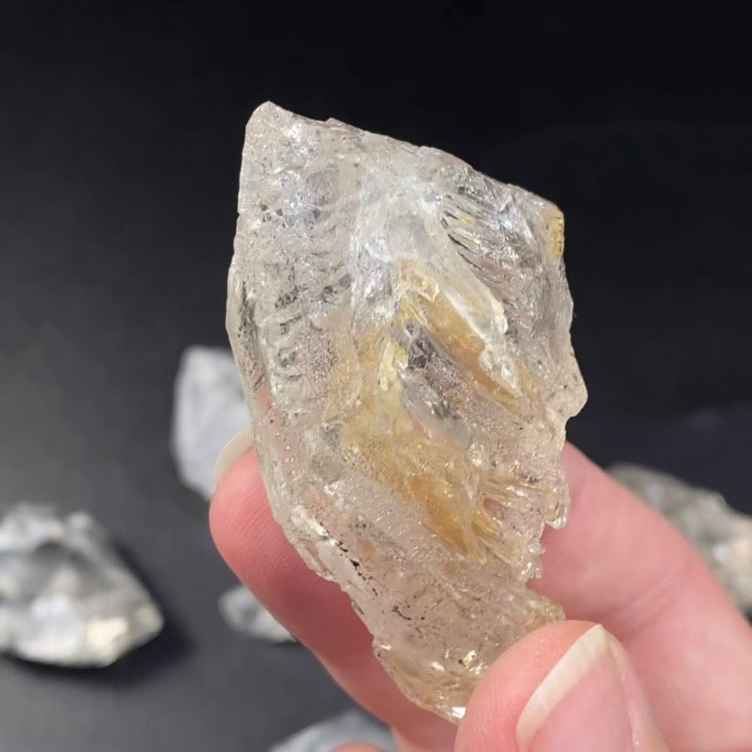 Fenster Quartz Crystal with Multiple Record Keepers