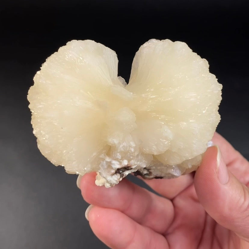 Stilbite Bow Tie Cluster with Stilbite Blades on Matrix