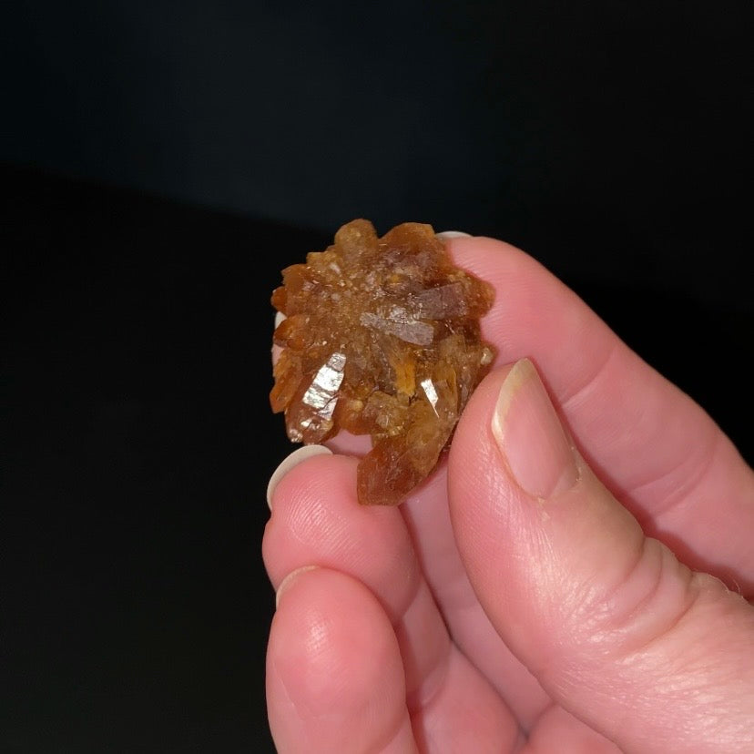 Floater Citrine Colored Honey Brown Quartz Flower Cluster - Midelt, Morocco