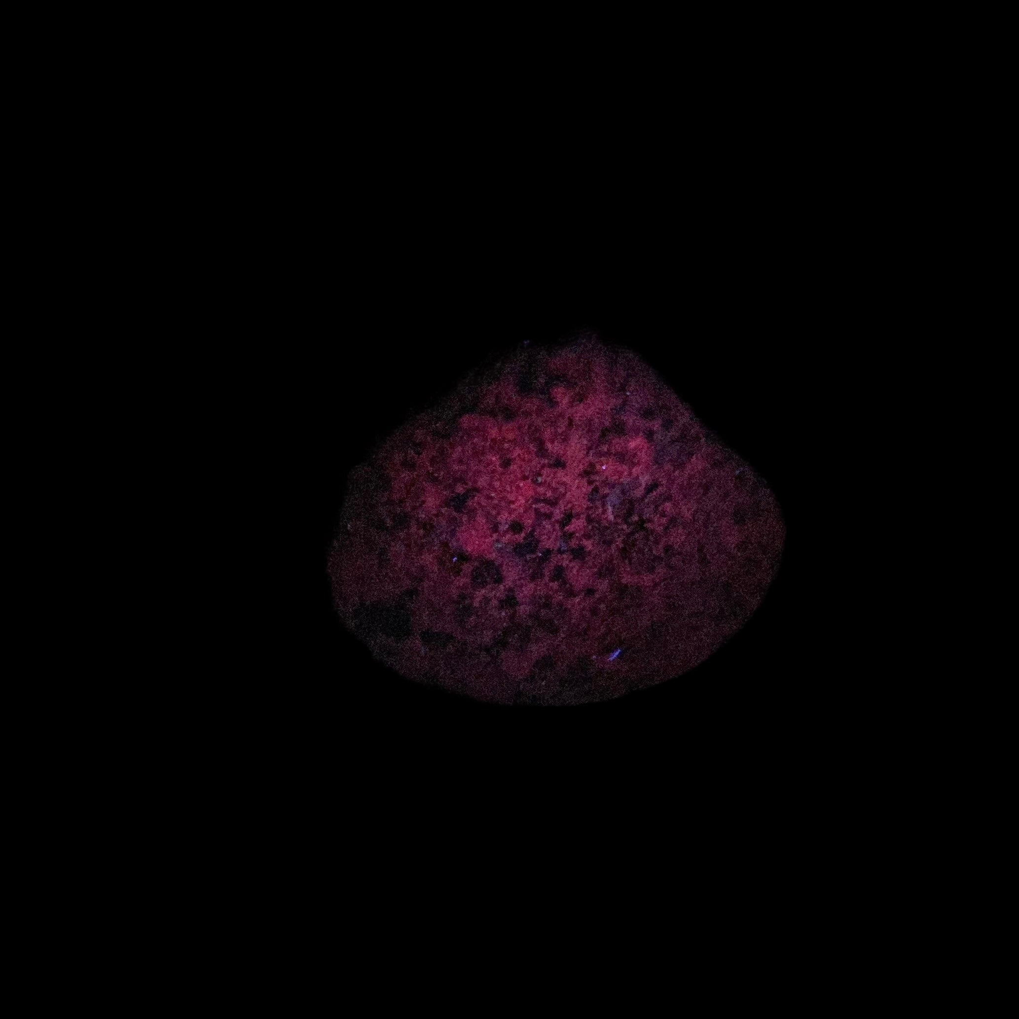Yooperlite - Fluorescent Sodalite with Syenite Yooper Stone