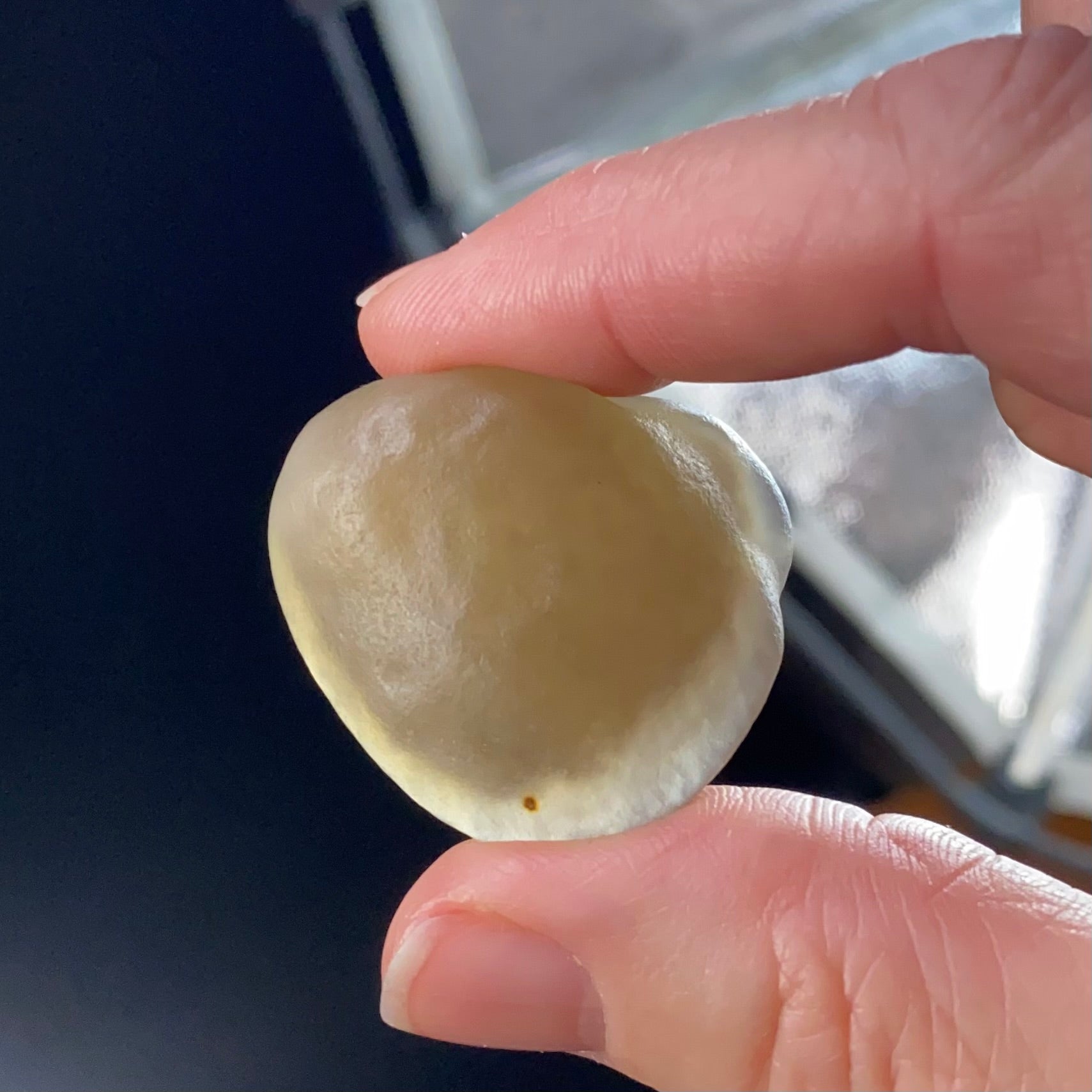 Gobi Desert Agate with Moving Sand Inclusions