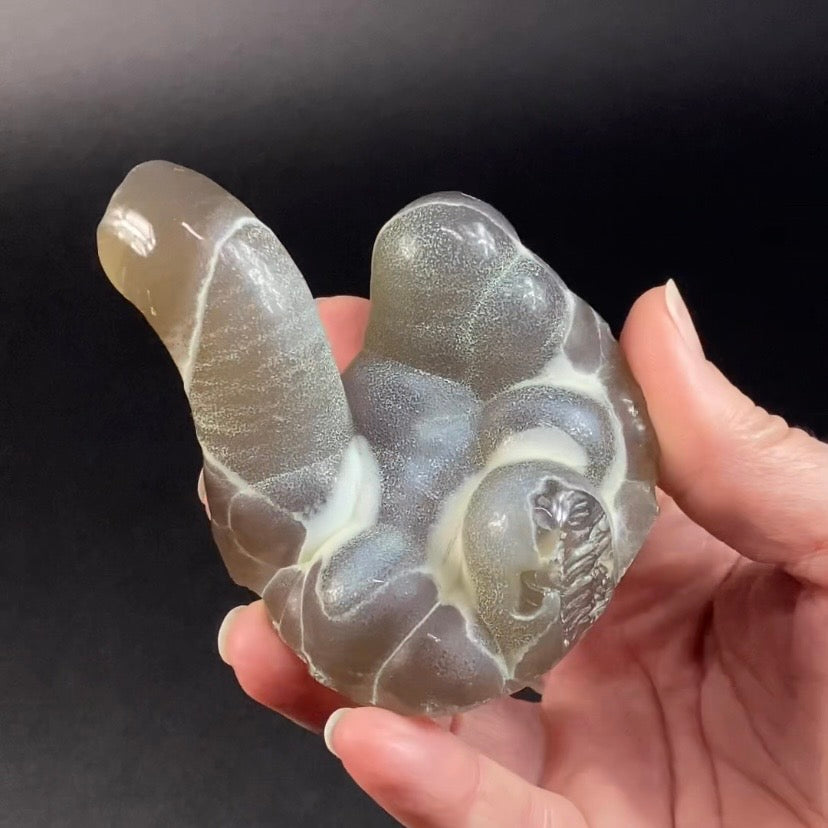 Dark Gray Agatized Botryoidal Chalcedony – High Contrast – Maharashtra, India